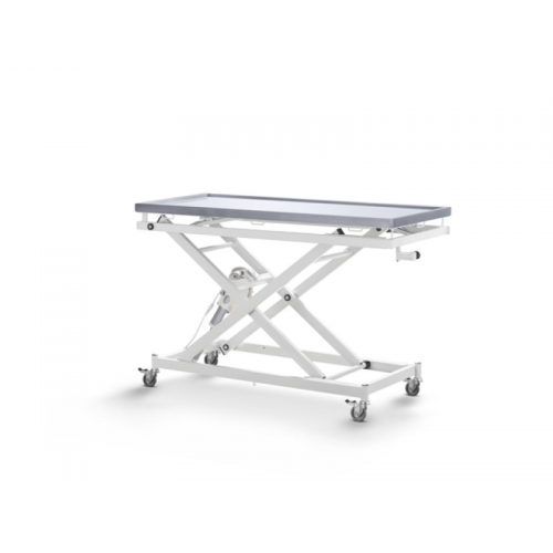 Κτηνιατρικό τραπέζι επεμβάσεων Inox Deluxe